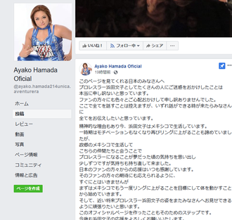 Screenshot_2018-11-23 Ayako Hamada Oficial - 投稿.png