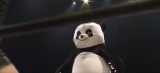 panda.png
